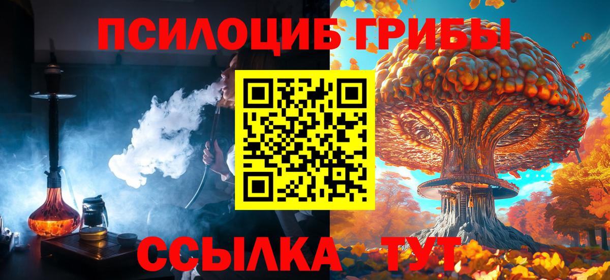 Чехов  Псилоцибиновые грибы MAGIC MUSHROOMS  Вход с VPN  Псилоцибиновые грибы мухоморы 