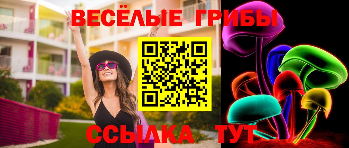 Псилоцибиновые грибы GOLDEN TEACHER Чехов